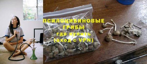 прущий лед Михайловка