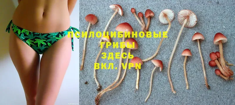 Галлюциногенные грибы Magic Shrooms  Жигулёвск 