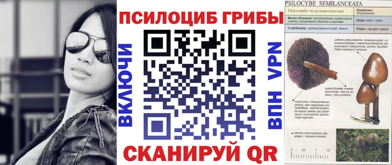 как найти закладки  Жигулёвск  Псилоцибиновые грибы мухоморы 