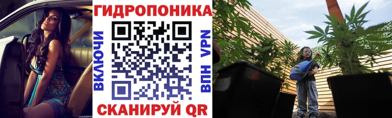 Марихуана сатива  KRAKEN вход  Жигулёвск  где продают наркотики 